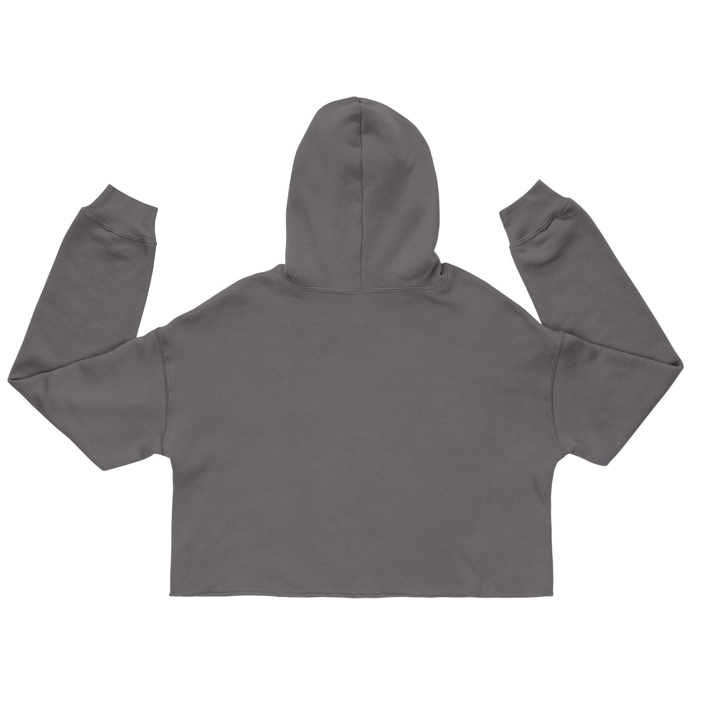 NICK: ALL ROGUE Crop Hoodie